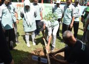 Kemenag Sinjai Gelar Penanaman Pohon Sebagai Rangkaian Peringatan HAB Ke-79 Tahun
