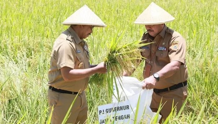 Jawa Tengah Berkontribusi Besar Dalam Ketahanan Pangan Nasional