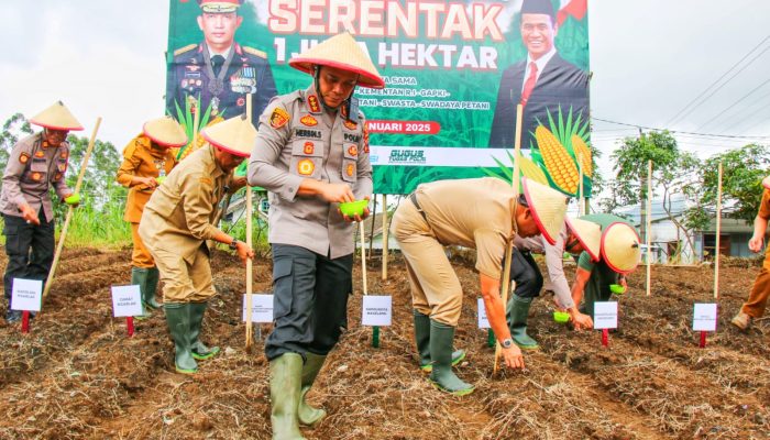 Dukung Ketahanan Pangan Nasional, Polresta Magelang Tanam Jagung Serentak