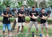 Pemuda Tellulimpoe Sinjai, Hobi Ternak Ayam Raup Keuntungan Jutaan Rupiah