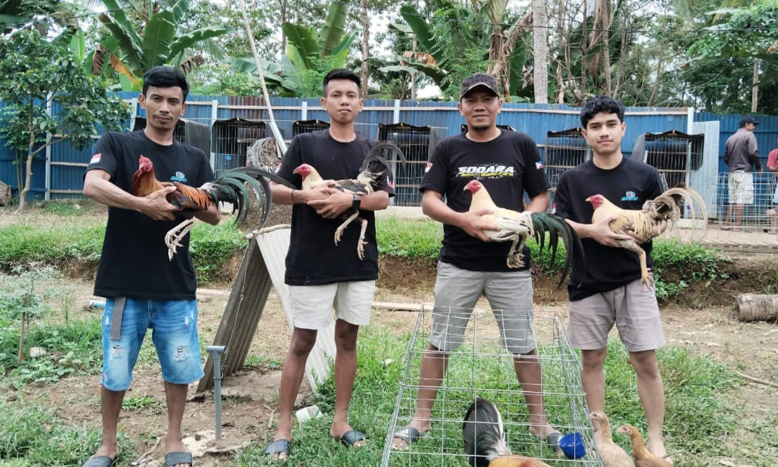 Peternak Ayam
