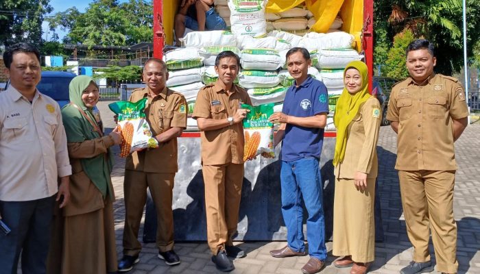 Sinjai Terima Bantuan Benih Jagung Kementrian Pertanian RI, Total 57 Ton