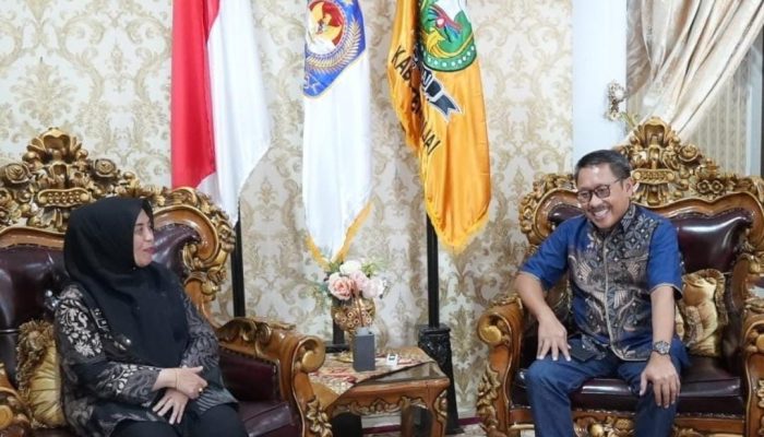 Pembangkit Listrik Tenaga Surya Akan Dibangun di Sinjai Timur