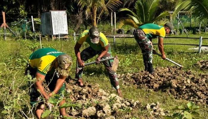 Optimalkan Lahan Kosong, Satgas Pamtas Yonarmed 11 Kostrad Tanam Bibit Sayuran
