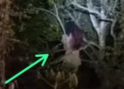 Cek Fakta: Postingan Video Viral Penemuan Kuntilanak di Sinjai Timur