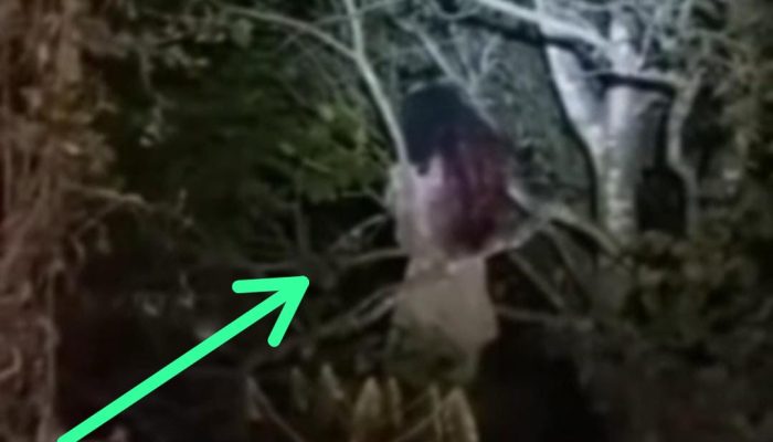 Cek Fakta: Postingan Video Viral Penemuan Kuntilanak di Sinjai Timur