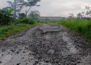 Jalan Poros Taraban–Pagojengan Rusak Parah, Warga Desak Pemkab Brebes Segera Bertindak