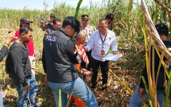 Polisi Gelar Rekonstruksi Kasus Pembunuhan di Kebun Tebu Ketanggungan, Tersangka Peragakan 6 Adegan