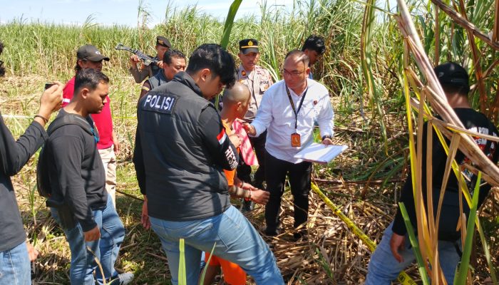 Polisi Gelar Rekonstruksi Kasus Pembunuhan di Kebun Tebu Ketanggungan, Tersangka Peragakan 6 Adegan