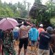 Pohon Ratusan Tahun di Sinjai Tumbang, Akses Jalan di Desa Bulukamase Tertutup