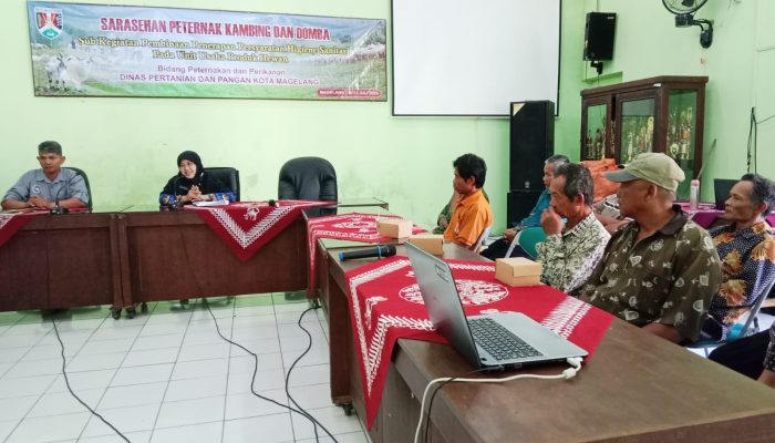 Disperpa Kota Magelang Gelar Sarasehan Peternak Kambing dan Domba