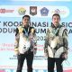 Ketua DPRD Sinjai dan Ketua Bapemperda Hadiri Rakornas Produk Hukum Daerah 2025 di Kendari
