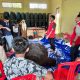 Mahasiswa KKN 114 Unhas Luncurkan Program Inisiatif ‘BioSubur’ di Desa Massaile Sinjai