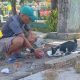 Jumadil Asri, Aktivitas Rutin ‘Merdekakan’ Kucing Liar Pagi Hari di Jalanan Kota Sinjai ‎