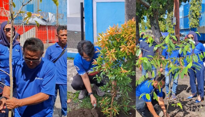 Pelindo TPK Ternate Tanami Pohon di Area Pelabuhan Ahmad Yani