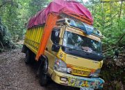 Heboh! Mobil Bermuatan Cengkeh Nyasar di Hutan Sinjai, Sopir Kira Sudah di Maros