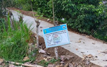 Proyek Rabat Beton di Desa Massaile Diduga Sarat Penyimpangan, Warga Desak APH Turun Periksa