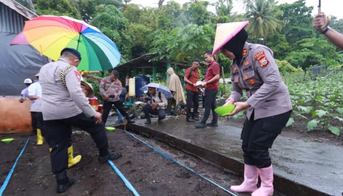 Polres Ternate Lakukan Penanaman Jagung Serentak Kuartal IV
