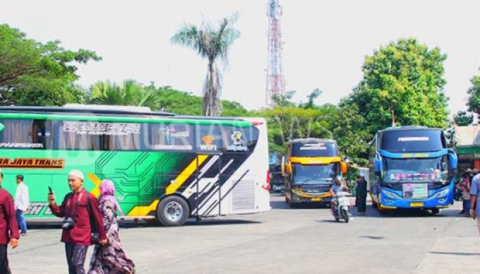 Penyebaran Parkir Bus di Terminal Wisata Religi Bakalan Krapyak Kudus Diminta Merata