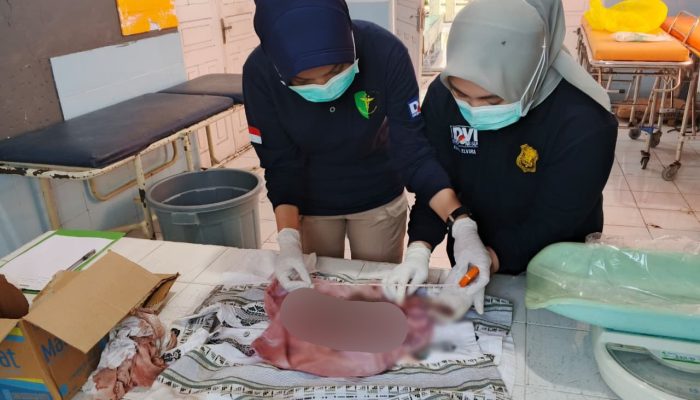 Polres Ternate Selidiki Penemuan Mayat Bayi di Kelurahan Takoma