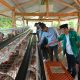 BUMA Ansor Sinjai Resmi Didirikan, Fokus Kembangkan Peternakan Ayam Petelur