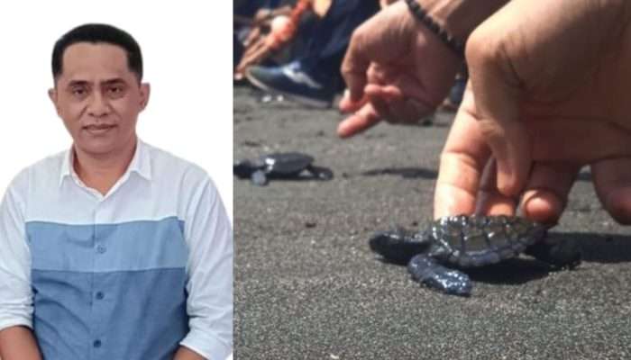 Masa Depan Kawasan Konservasi Pabisay di Antara Eksplorasi Industri Pertambangan Halmahera