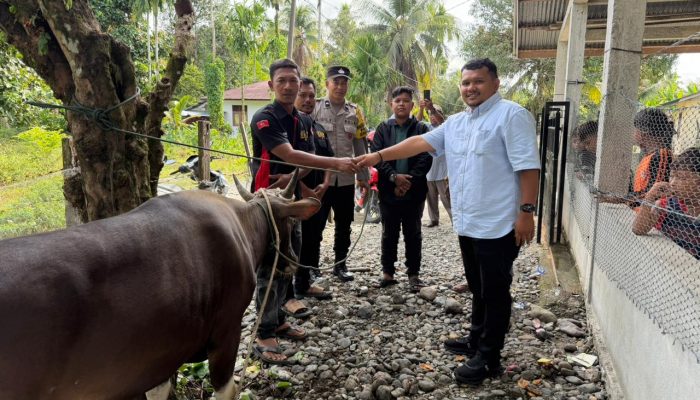Anggota DPR RI Asal Nagan Raya Serahkan Bantuan Sapi untuk Keluarga Syuhada GAM