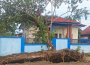 Pohon Tumbang Timpa Rumah Dinas Syahbandar Sinjai