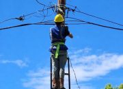 Aksi Cepat Penanganan Kabel Jatuh di Ambon, Layanan Berhasil Dipulihkan