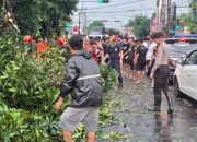 Bersama BPBD dan Warga, Personel Polres Kediri Kota Evakuasi Pohon Tumbang di Jalan Raya