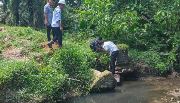 Diduga Limbah PKS PT Fajar Baizuri & Brother Cemari Lingkungan, Begini Hasil Kajian Evaluasi LPLHI-KLHI
