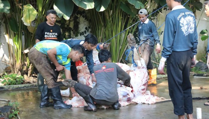 Pemotongan Hewan Kurban di Kantor Pusat, Kader Gerindra Teladani Prabowo dalam Tradisi Berbagi Hewan Kurban
