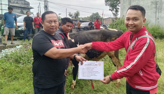 Hari Raya Idul Adha 1447 H, Vita Ervina Salurkan Hewan Kurban