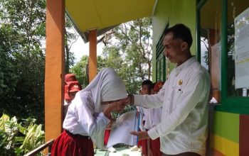 MI Miftahul Khair Haru Lepas Siswa Kelas 6, 100% Lulus